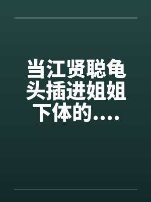 当江贤聪龟头插进姐姐下体的.................封面